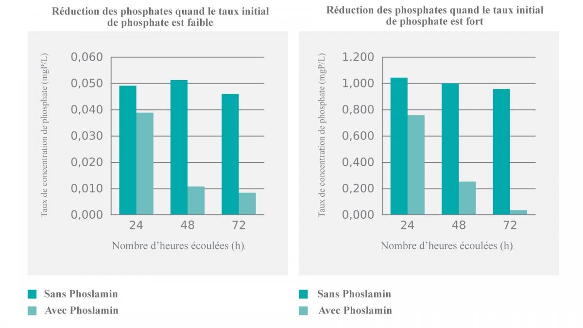 Produit anti-phosphate et anti-algue pour bassin, piscine et baignade naturelle